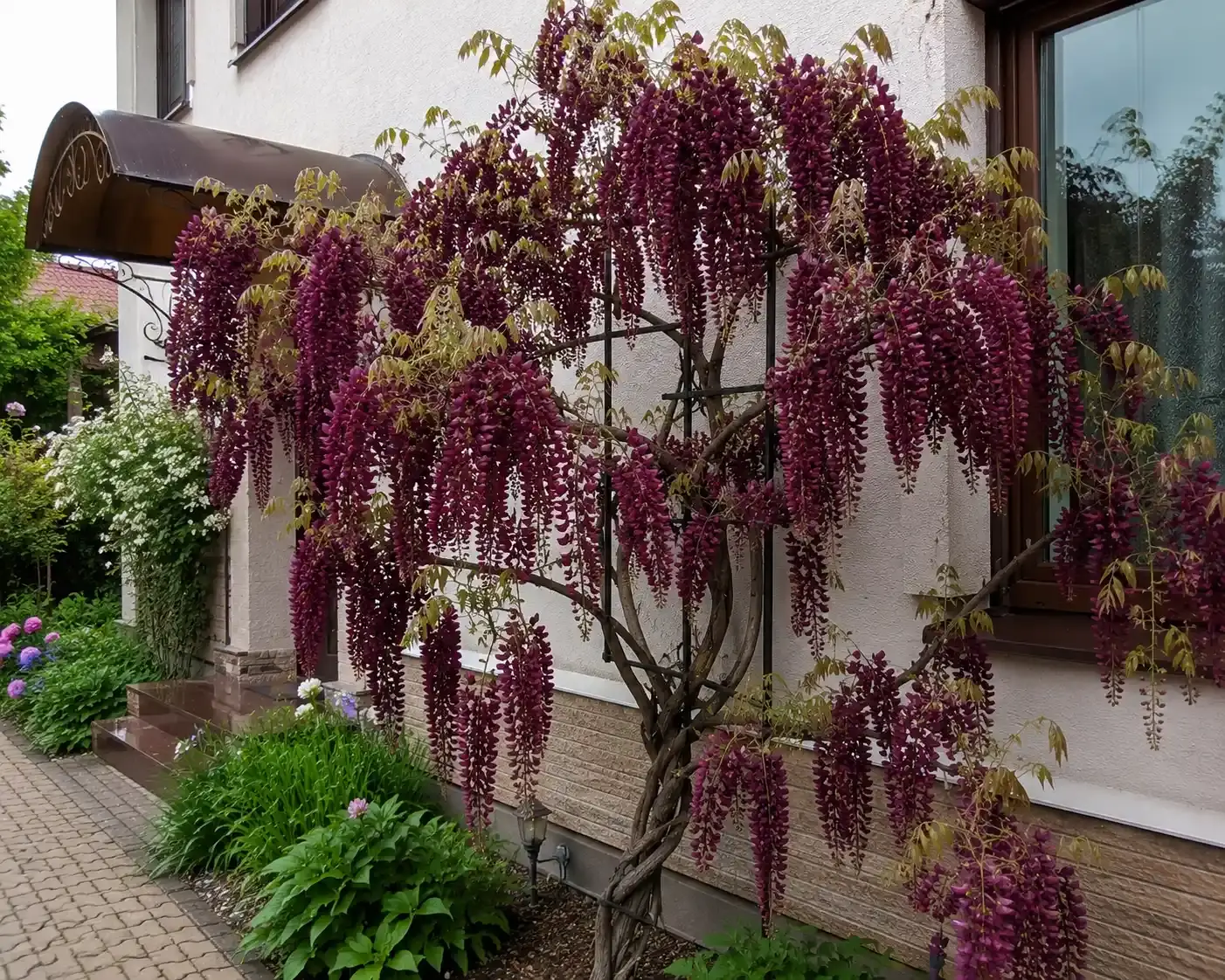 Відгук Наталія