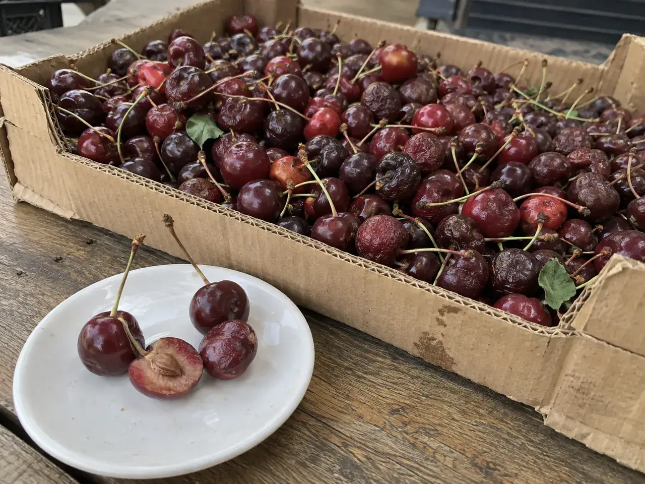Невдала партія черешні: тьмяні, нерівні та прим’яті ягоди